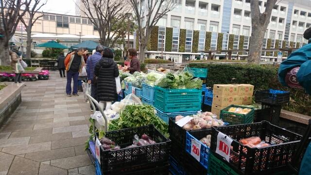 【5月】新浦安マルシェ せんのはの朝採れ新鮮野菜