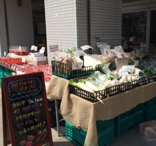  【4月】香取市より、新鮮野菜をお届け！