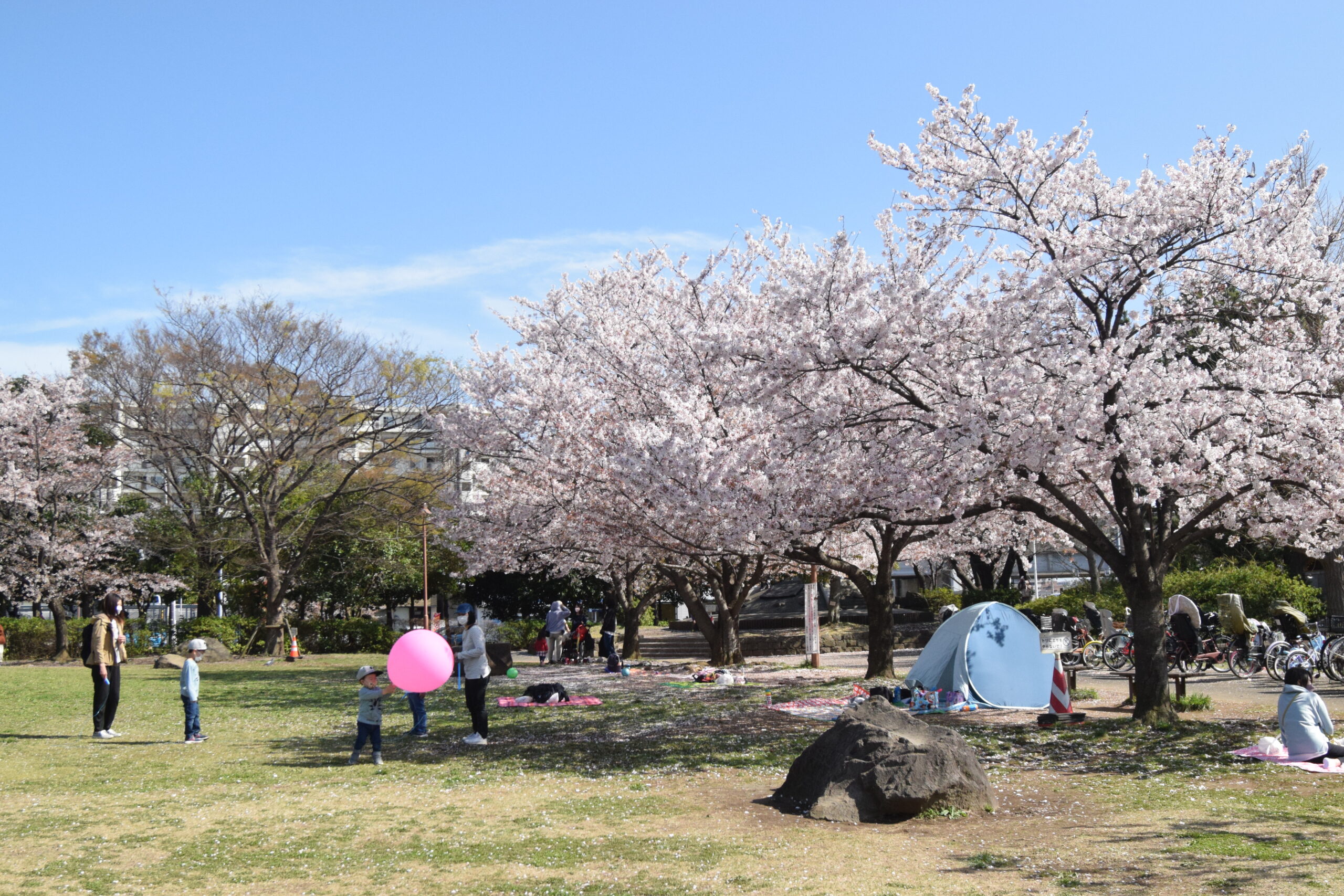 若潮公園